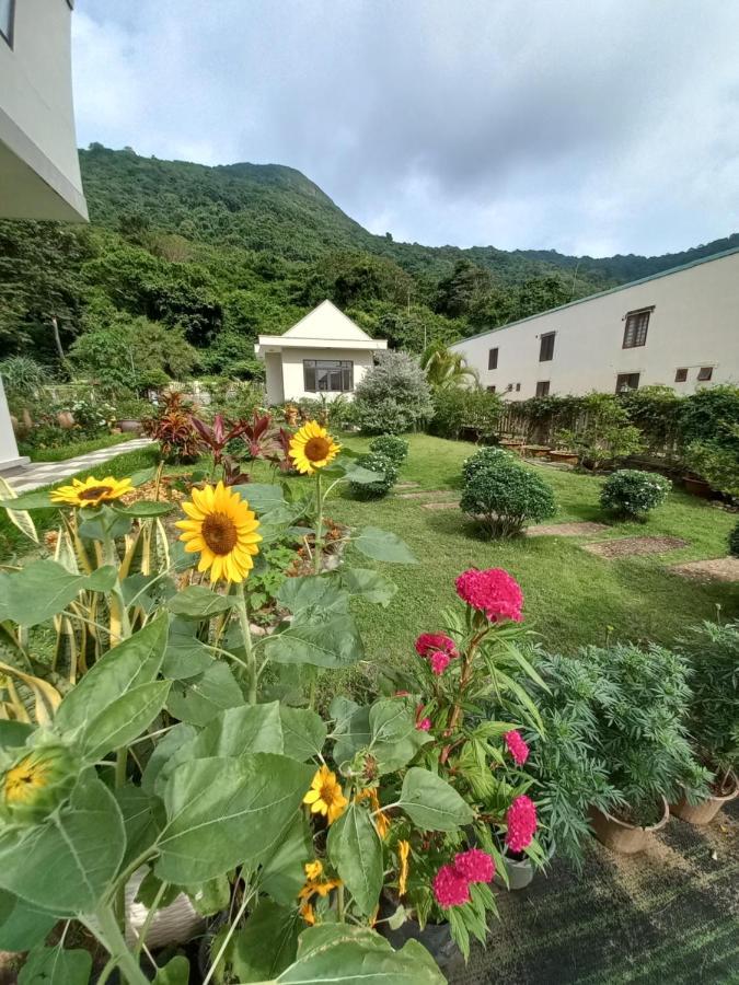 Garden House Con Dao Lejlighedshotel Chi Khu Co Ong Eksteriør billede