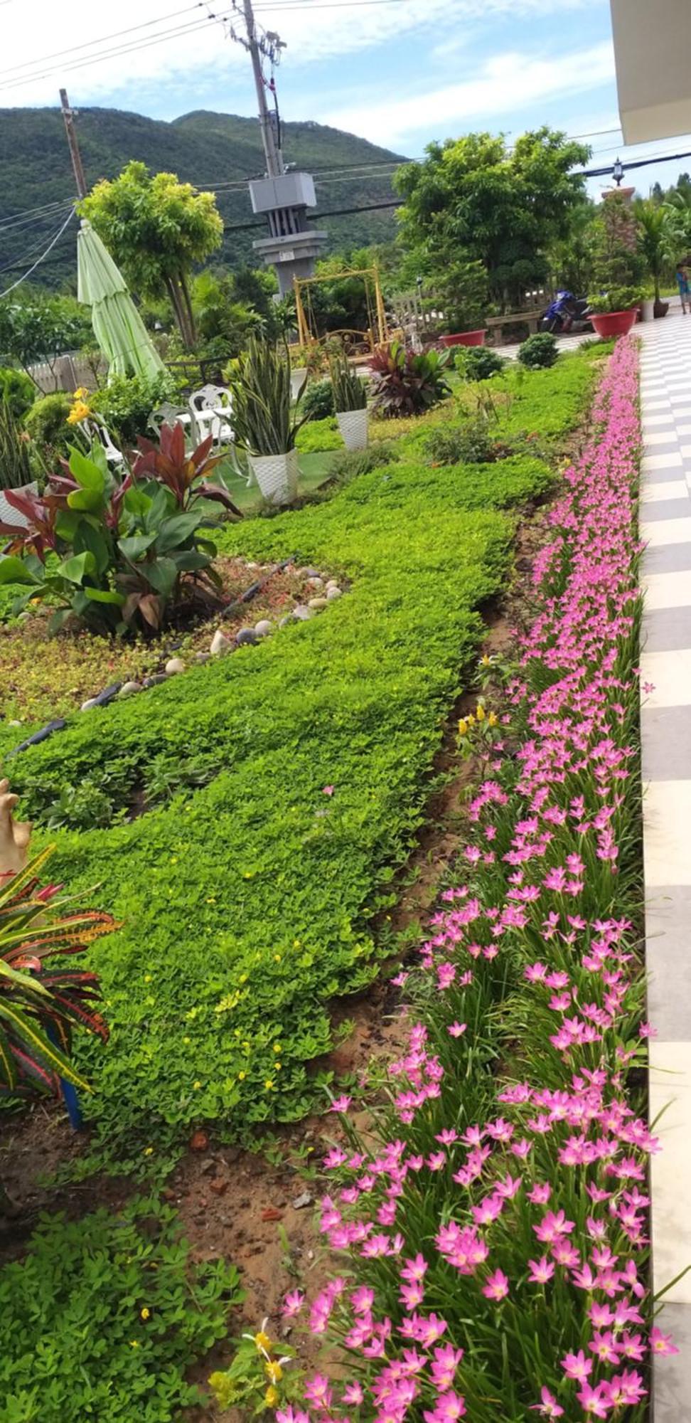 Garden House Con Dao Lejlighedshotel Chi Khu Co Ong Eksteriør billede