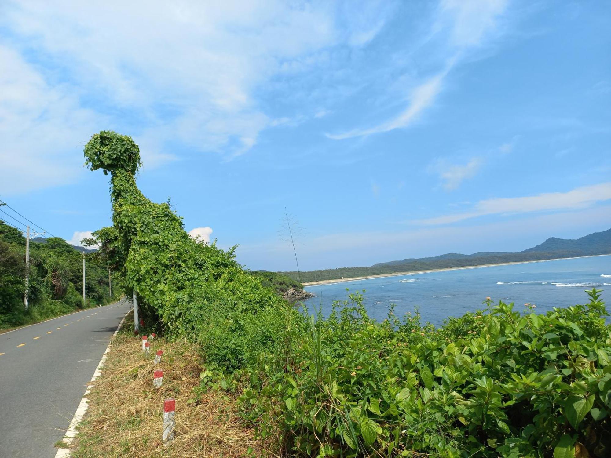 Garden House Con Dao Lejlighedshotel Chi Khu Co Ong Eksteriør billede
